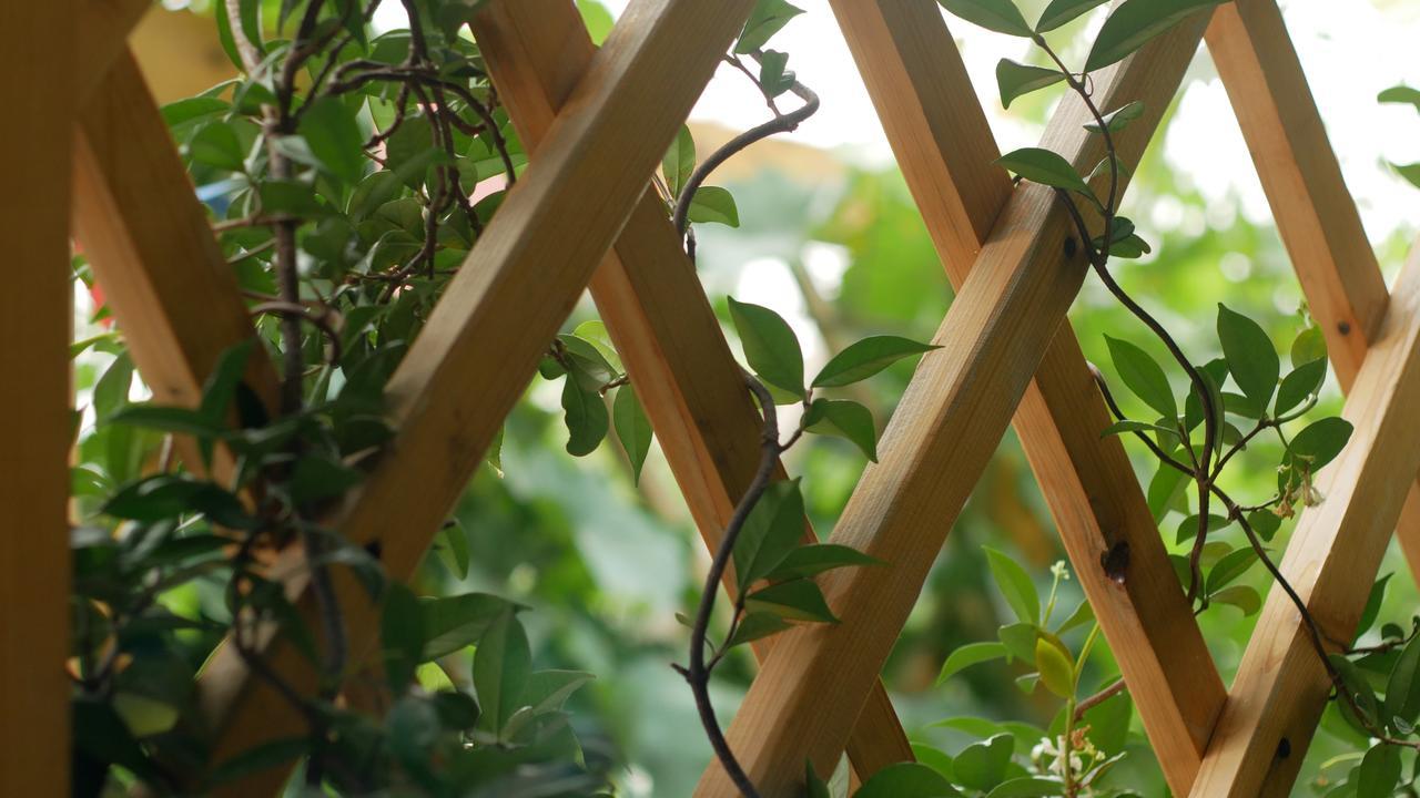 מלון טביליסי My Garden מראה חיצוני תמונה