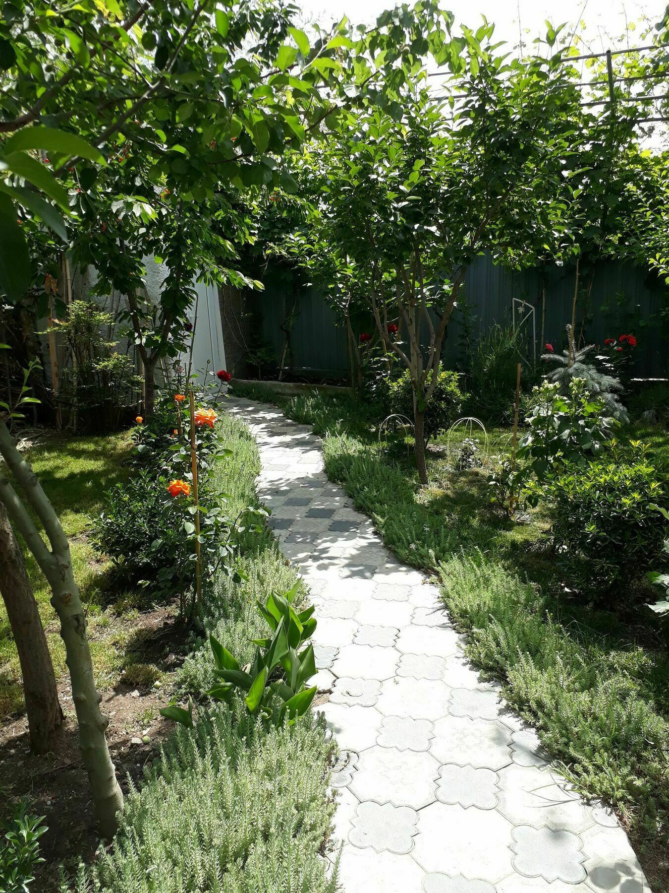 מלון טביליסי My Garden מראה חיצוני תמונה