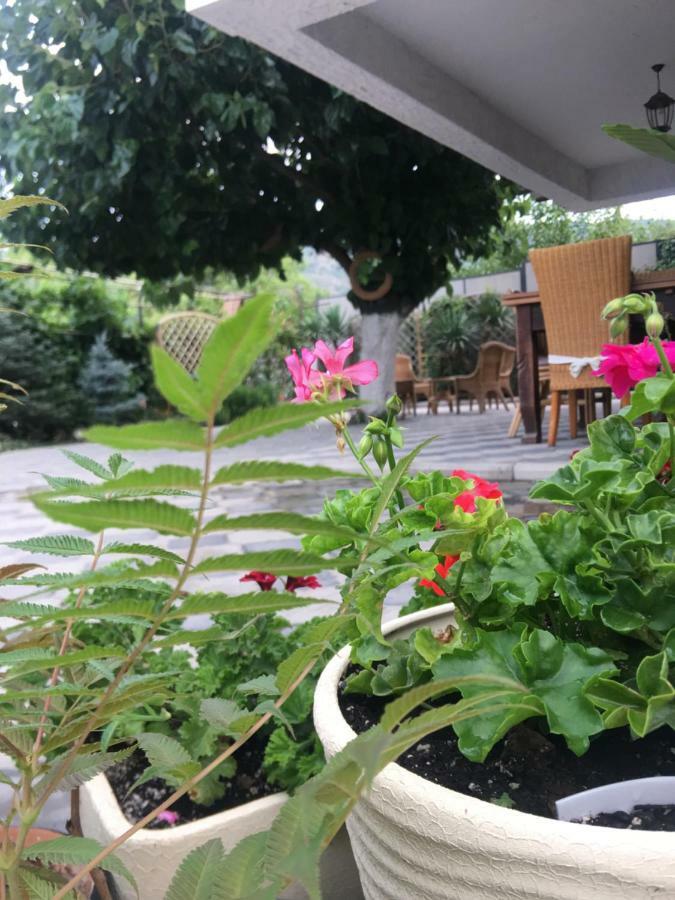 מלון טביליסי My Garden מראה חיצוני תמונה