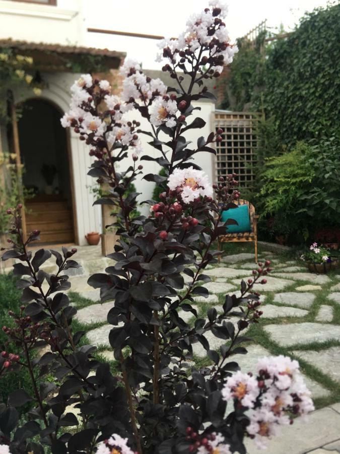 מלון טביליסי My Garden מראה חיצוני תמונה